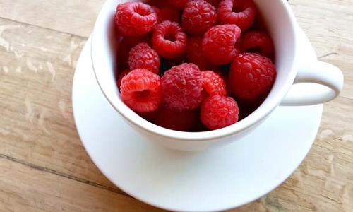 woman holding a camera